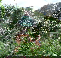 The Cidery - Events Australia