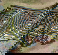 Bago Maze and Wine - Events Australia