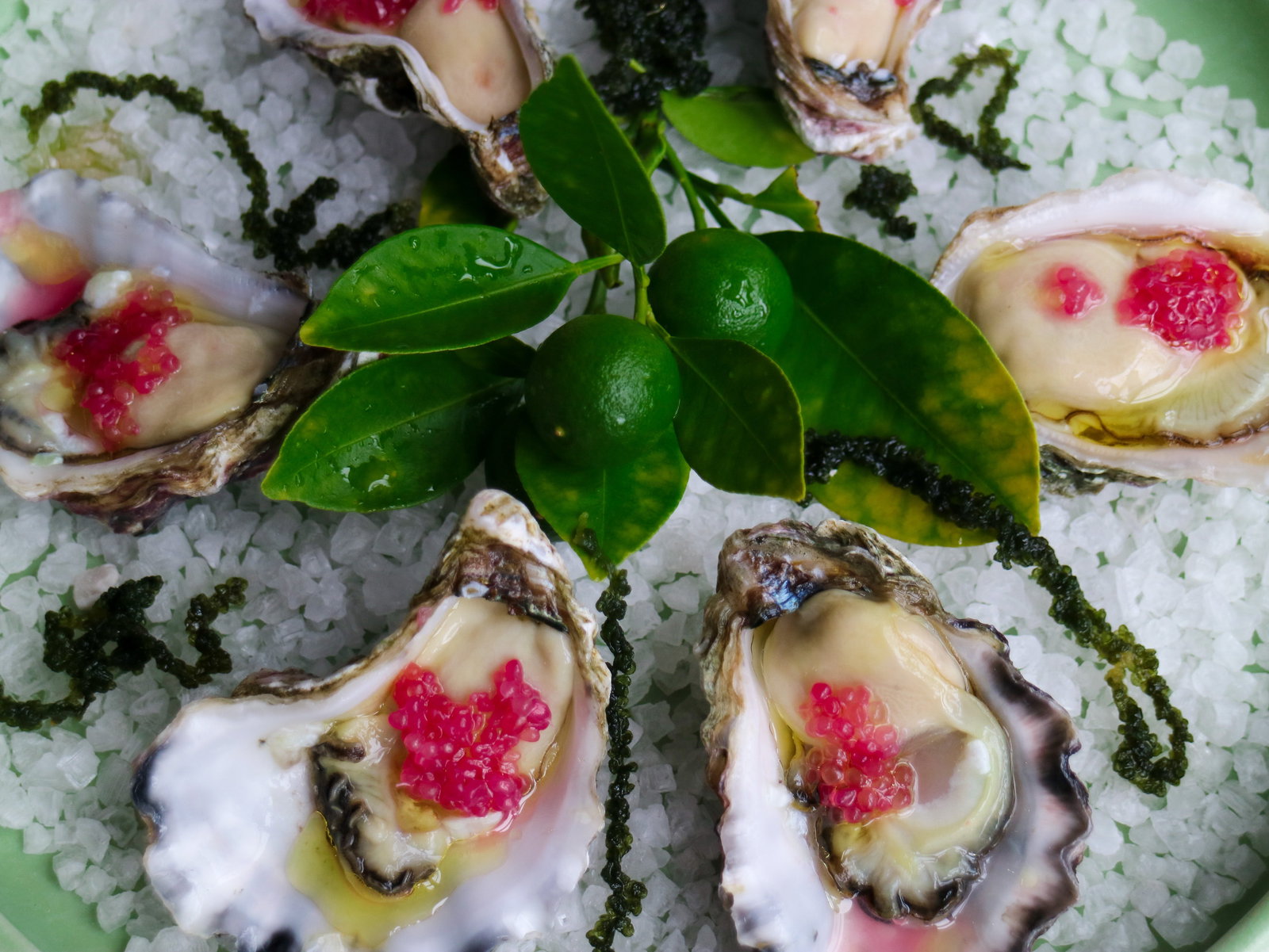 Gerringong NSW Events Australia