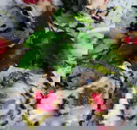 Bella Char Restaurant  Wine Bar - Events Australia