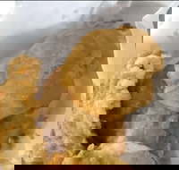 Captain Roxburg Fish  Chips - Events Australia