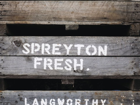 Spreyton Cider Co. - Events Australia 0