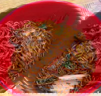 Noodle World - Events Australia