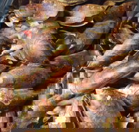 Pacific Eats - Events Australia