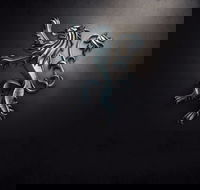 PJ O'Reilly's Irish Pub - Events Australia