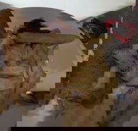 Tandoori Inn - Events Australia