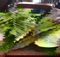 The Cube Hot Pot - Events Australia