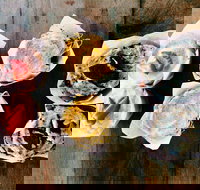 Blackbird Espresso - Events Australia