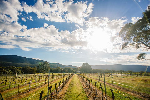 Fallen Giants Vineyard - Events Australia 0