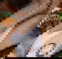 Little-L Chicken  Burgers - North Bondi - Events Australia