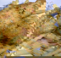 Red Rooster - Malaga - Events Australia