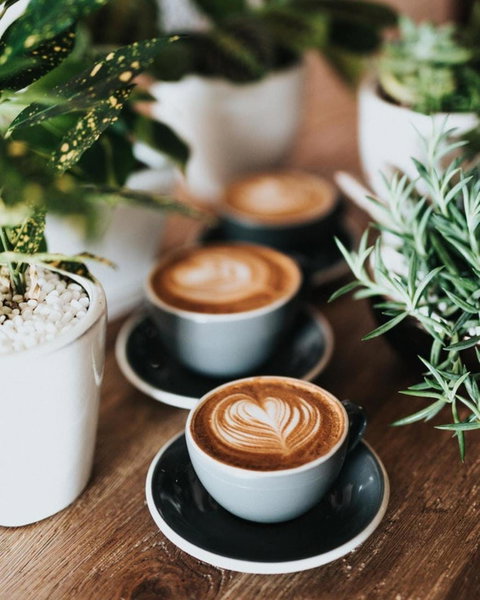 Zoobibi - Tourism Bookings 0