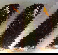 A Treat of France - Carlton North - Events Australia