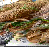 Bean Out - Events Australia