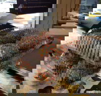 Brumby's - Holland Park - Events Australia