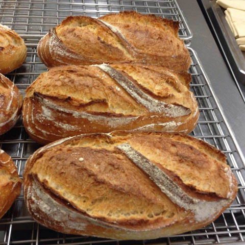 Harvest Boulangerie Patisserie - Tourism Bookings 0