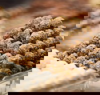 Mayfield Chocolates - Spring Hill - Events Australia