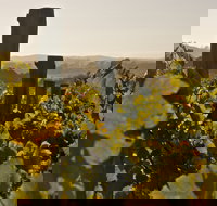 Wimbaliri Wines - Tourism Bookings