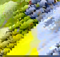 Eden Road Wines - Tourism Bookings