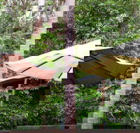 Rainforest Cafe - Events Australia