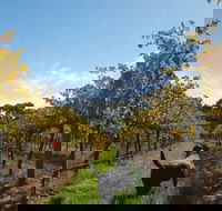 Ruddenklau Wines - Events Australia