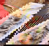 Sirocco Noosa - Events Australia