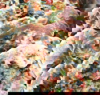 Al Fayhaa Bakery - Events Australia