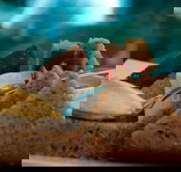 La Cantina - St Leonards - Events Australia