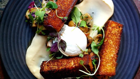 Mr Foxx - Events Australia 0