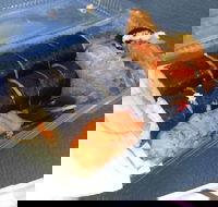 Mr Sushi - Events Australia