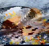 My Mistress - Events Australia