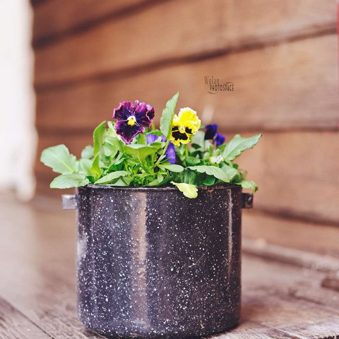 The York Mill - Tourism Bookings 0