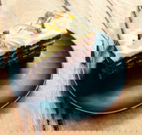 Veruca Salt - Events Australia