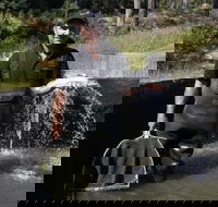 41 Degrees South Tasmania - Events Australia