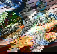 Luxe Fish - Events Australia