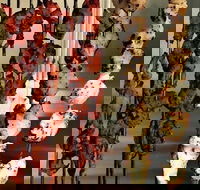 The Spice Yard - Events Australia