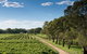 Bleasdale Vineyards - thumb 1