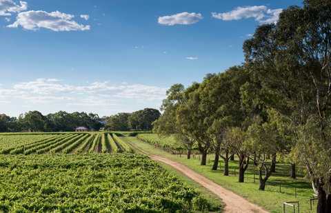 Bleasdale Vineyards - Events Australia 1