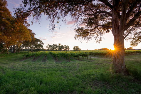 Bleasdale Vineyards - Events Australia 2