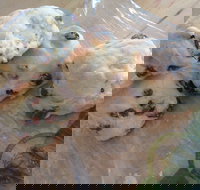 Brumby's - Clayfield - Events Australia