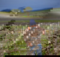 Kurtz Family Vineyards - Events Australia