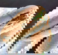 Lunch Bake - Events Australia