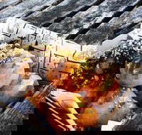 St. Gerrys - Events Australia