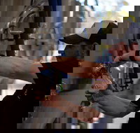 Wild Hop Brewing Company - Events Australia