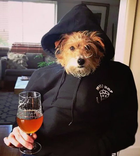 Wild Hop Brewing Company - Events Australia 1