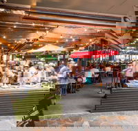 Henry  The Fox - Tourism Bookings