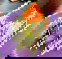 Oishi Ya - Events Australia