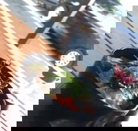 Sushi Monster - Events Australia