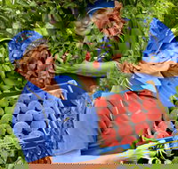 Willayoung Orchard - Events Australia