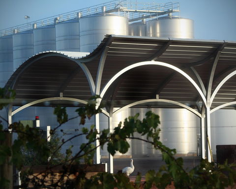 Andrew Peace Wines - Accommodation Europe 2